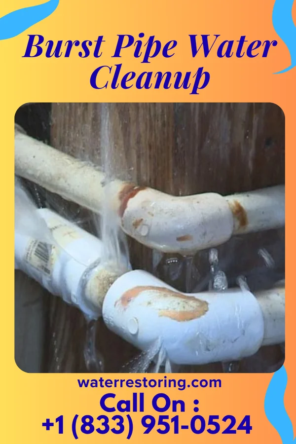 Burst Pipe Water Cleanup in East Cathlamet, WA