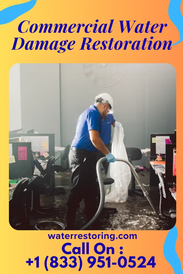 Commercial Water Damage Restoration in East Cathlamet, WA
