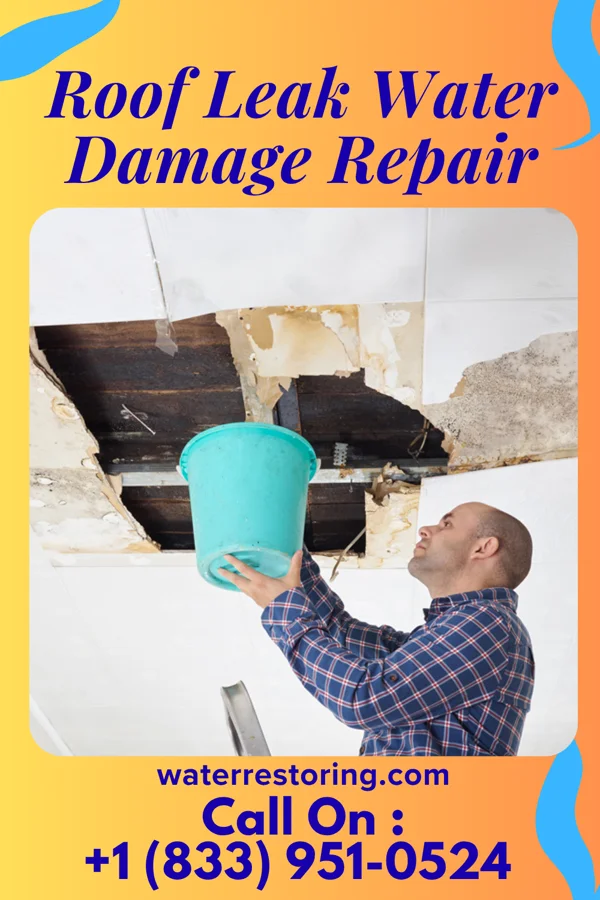 Roof Leak Water Damage Repair in East Cathlamet, WA