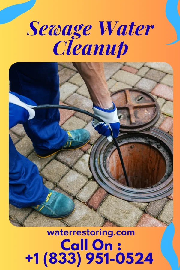 Sewage Water Cleanup in East Cathlamet, WA